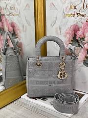 Dior Lady D-Lite Gray - M0565J - 24 x 20 x 11 cm - 1