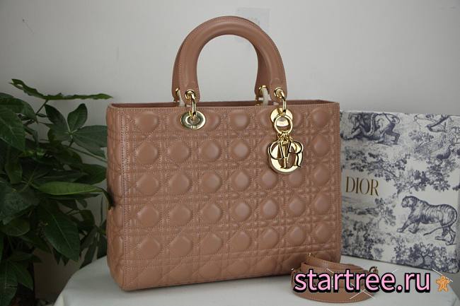 Dior Lady Large Blush Bag - M0566O - 32 x 25 x 11 cm - 1