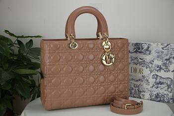 Dior Lady Large Blush Bag - M0566O - 32 x 25 x 11 cm