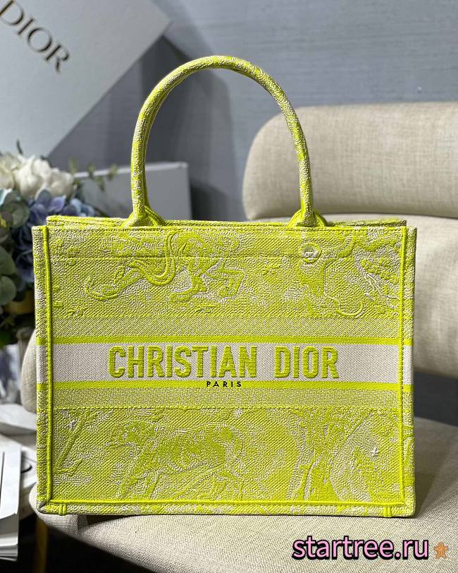 Christian Dior |Book Tote Small Lime - M1296ZR - 36.5x28x14cm - 1
