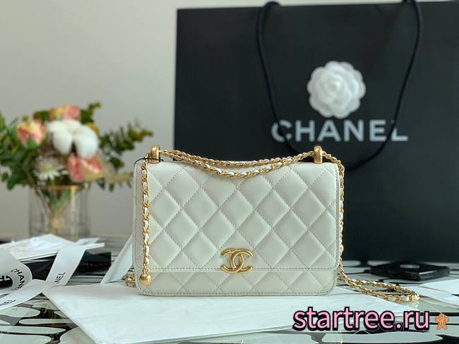 Chanel Woc Wallet On Chain White - AP2289 - 19cm - 1