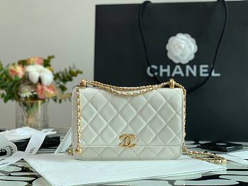 Chanel Woc Wallet On Chain White - AP2289 - 19cm