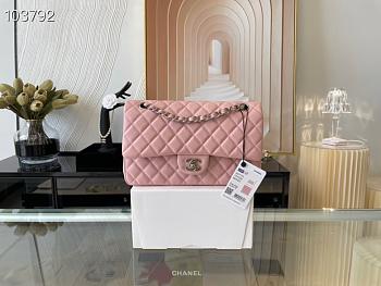 CHANEL | Small Classic Handbag Silver Metal Pink - A01113 - 25.5cm