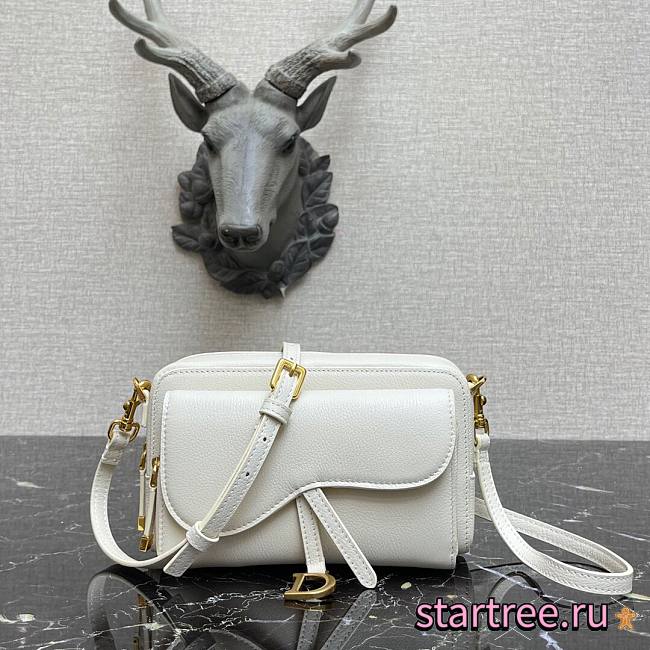 DIOR | Double Saddle Pouch White - S5668C - 19 x 10.5 x 5 cm - 1