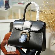 DELVAUX | Shiny Mini Camaïeu - AA0406 - 20x10x16cm - 2