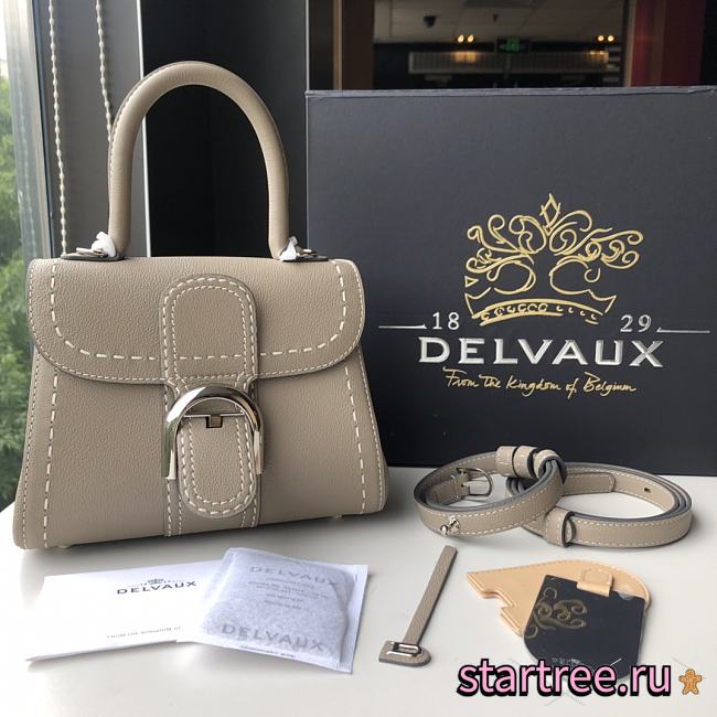 DELVAUX | Brillant Mini Surpiqué - AA0406 - 20x12x14.5cm - 1