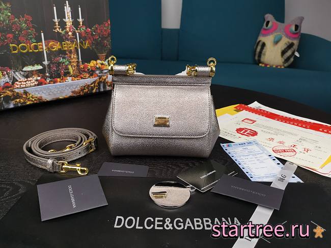 DG | Mini Sicily Silver handbag - 16 x 10 x 5cm - 1