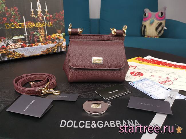 DG | Mini Sicily Redwine handbag - 16 x 10 x 5cm - 1