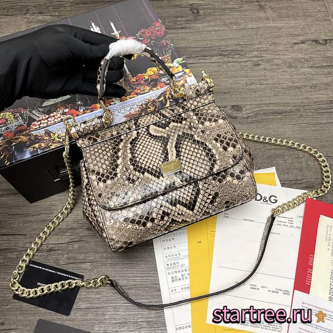 DG | Sicily Python handbag with gold strap - 20 x 9.5 x 14cm - 1