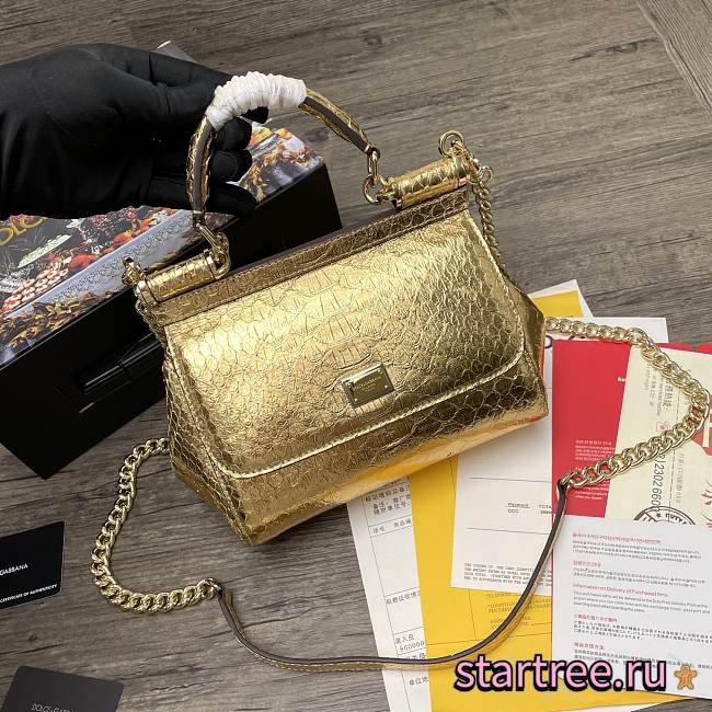 DG | Sicily Python Gold handbag with gold strap - 20 x 9.5 x 14cm - 1