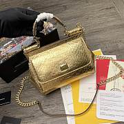 DG | Sicily Python Gold handbag with gold strap - 20 x 9.5 x 14cm - 1