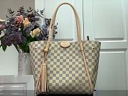 Louis Vuitton | PROPRIANO shoulder tote bag - N44027 - 28 x 18 x 27 cm - 1