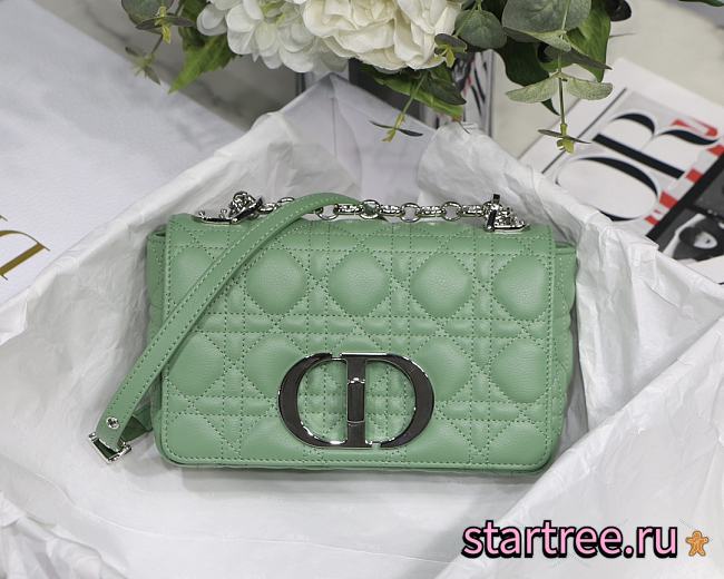 DIOR | Small Mint Caro Bag - M9241 - 20 x 12 x 7 cm - 1