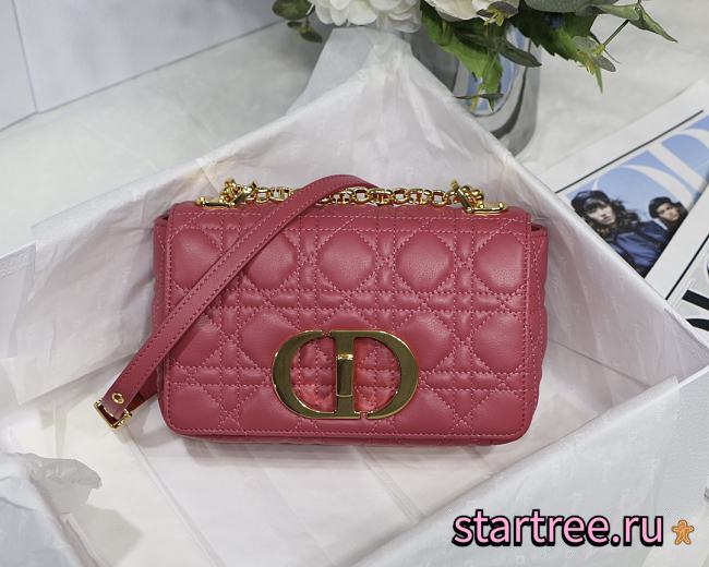 DIOR | Small Pink Caro Bag - M9241 - 20 x 12 x 7 cm - 1