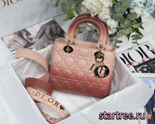 DIOR | Lady D My ABC Gradient Pink - M0538O - 20 x 16.5 x 8 cm - 1