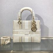 Dior Medium Lady D-Lite Bag Gray D-Stripes - 24 x 20 x 11 cm - 1