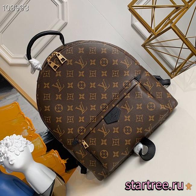 Louis Vuitton | Palm springs MM backpack - M44874  - 28 x 33 x 16 cm - 1