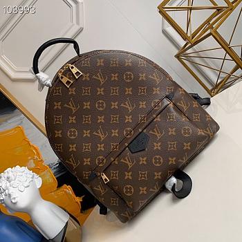 Louis Vuitton | Palm springs MM backpack - M44874  - 28 x 33 x 16 cm