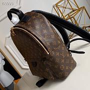 Louis Vuitton | Palm springs MM backpack - M44874  - 28 x 33 x 16 cm - 2