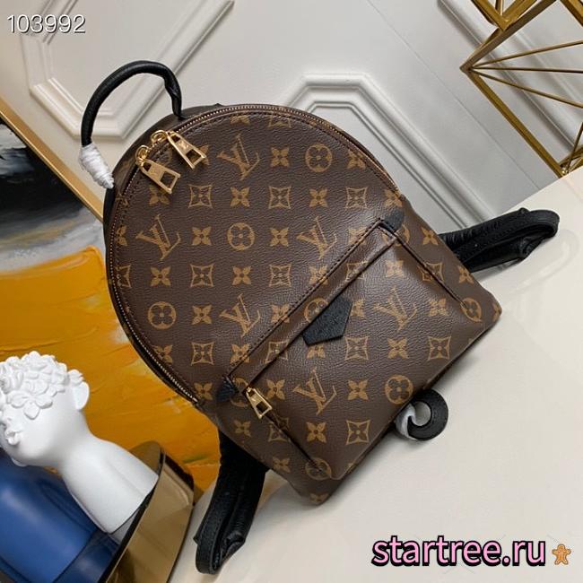 Louis Vuitton | Palm Springs PM backpack M44871 - 1