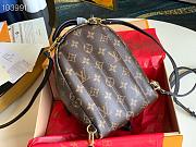 Louis Vuitton | Palm Springs Mini Backpack - M44873 - 15 × 22 × 9cm - 6