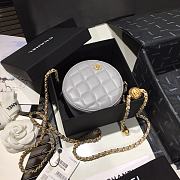 Chanel | Quilted Pearl Crush Round Bag Grey - AS1449 - 12 x 12 x 4.5 cm - 6