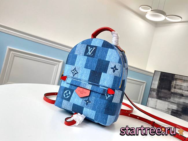 Louis Vuitton | Palm Springs Mini Backpack - M45043 - 17 x 22 x 10 cm - 1