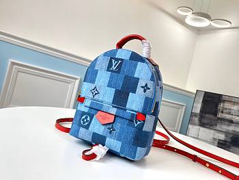 Louis Vuitton | Palm Springs Mini Backpack - M45043 - 17 x 22 x 10 cm