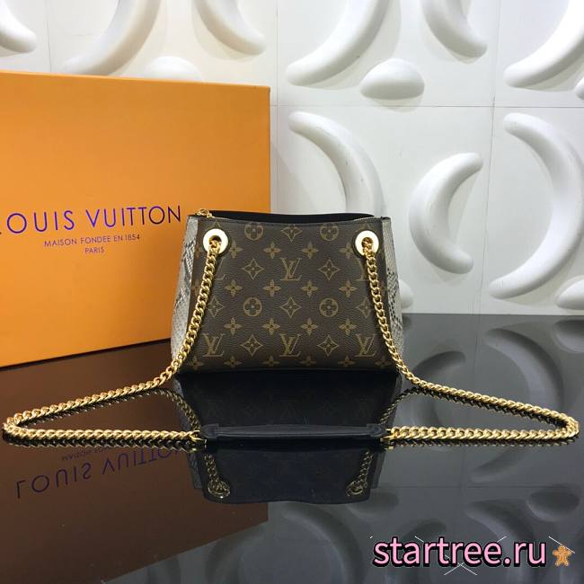 Louis Vuitton | Surene BB handbag - N96952 - 24 x 17 x 11 cm - 1