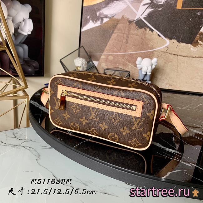 Louis Vuitton | Pochette Cite Shoulder Bag - M51183 - 12.5 x 21.5 x 6.5 cm - 1