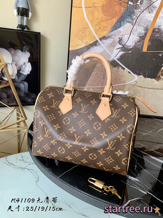 Louis Vuitton | Speedy 25  M41109 - 1