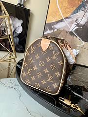 Louis Vuitton | Speedy 25  M41109 - 2