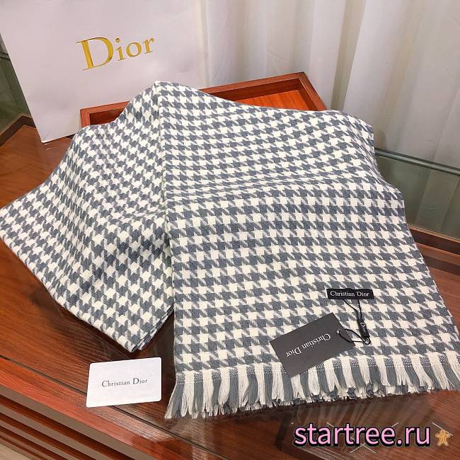 DIOR | Scarf - 04 - 1