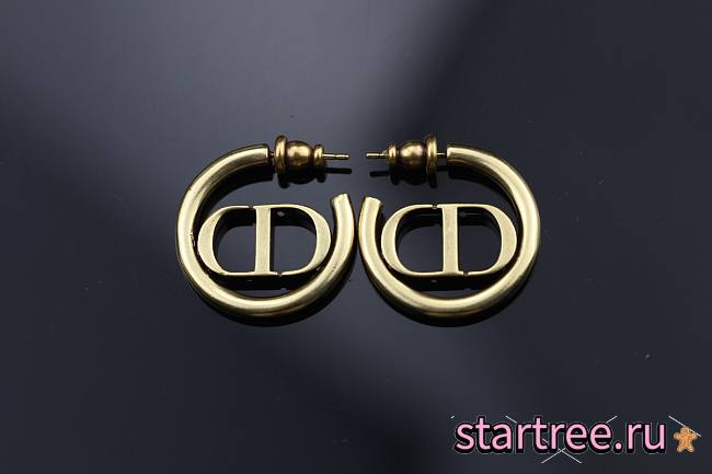 Dior | CD round earring 05 - 1