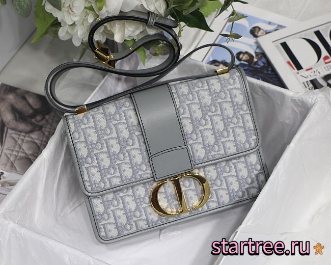 DIOR | 30 MONTAIGNE BAG Gray - M9203U - 24 x 17 x 8 cm - 1