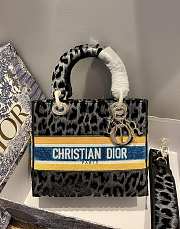 DIOR | Lady D-Lite Gray Mizza - M0565O - 24 x 20 x 11 cm - 6