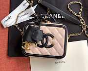 CHANEL | Vanity Bag in Light Pink - A93343 - 21 x 16 x 8 Cm - 1