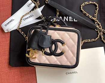 CHANEL | Vanity Bag in Light Pink - A93343 - 21 x 16 x 8 Cm