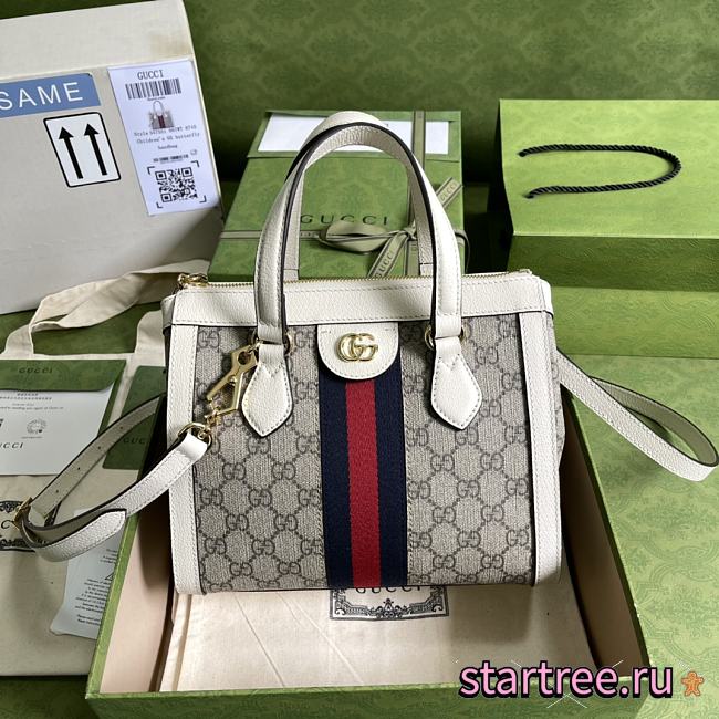 GUCCI | Ophidia Small Tote Bag - 547551 - 1