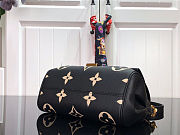 Louis Vuitton | Favorite Handle Bag M45813 Black&Cream - 3