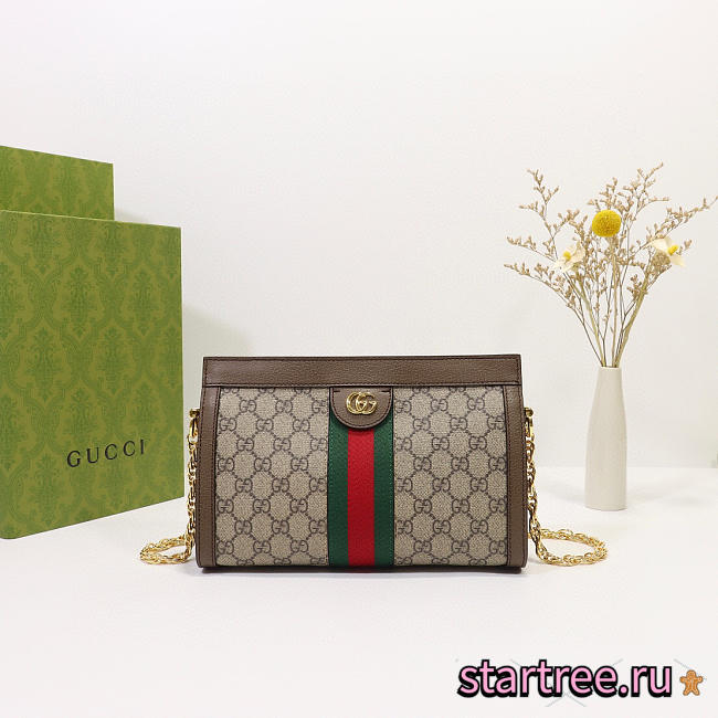 Gucci | Ophidia GG Shoulder Bag 503877 Brown - 1