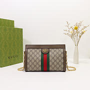 Gucci | Ophidia GG Shoulder Bag 503877 Brown - 1