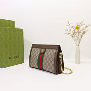 Gucci | Ophidia GG Shoulder Bag 503877 Brown - 6
