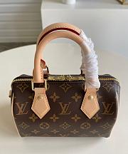 Louis Vuitton | Speedy 20 Pink Strap M41114 - 6