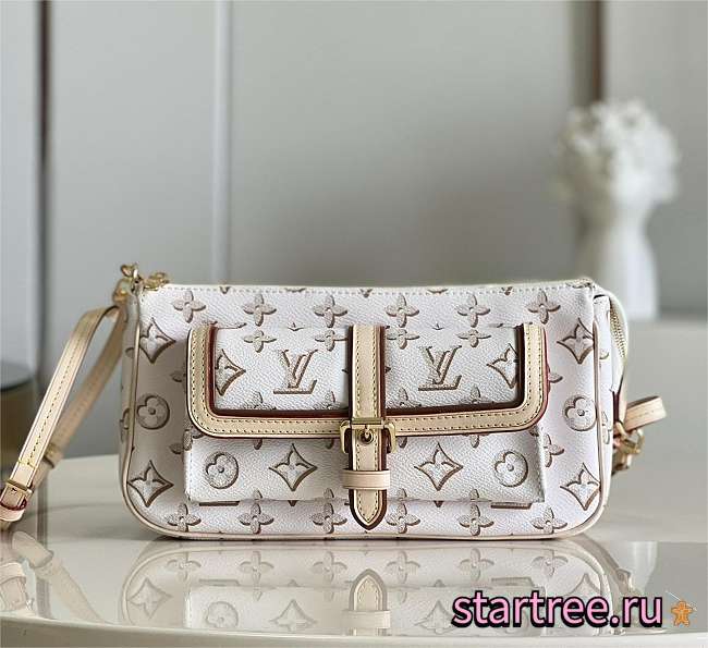 Louis Vuitton | Maxi Multi Pochette Accessoires Bag M20920 - 1