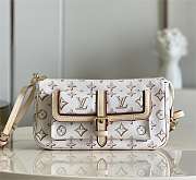 Louis Vuitton | Maxi Multi Pochette Accessoires Bag M20920 - 1