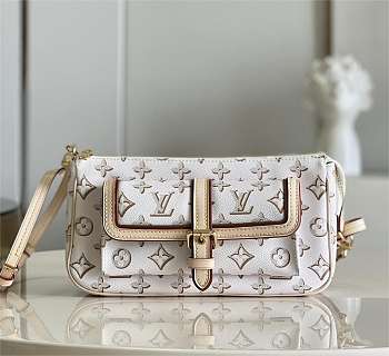 Louis Vuitton | Maxi Multi Pochette Accessoires Bag M20920