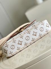 Louis Vuitton | Maxi Multi Pochette Accessoires Bag M20920 - 3