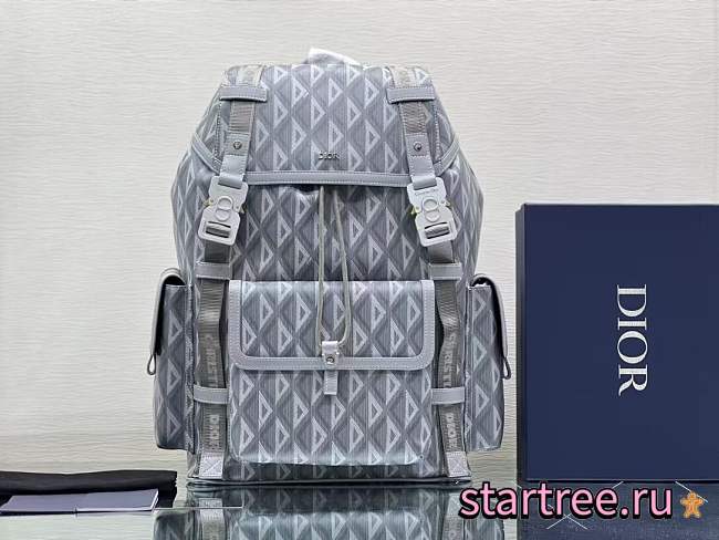 Dior Backpack Calfskin Gray-43cm - 1