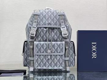 Dior Backpack Calfskin Gray-43cm